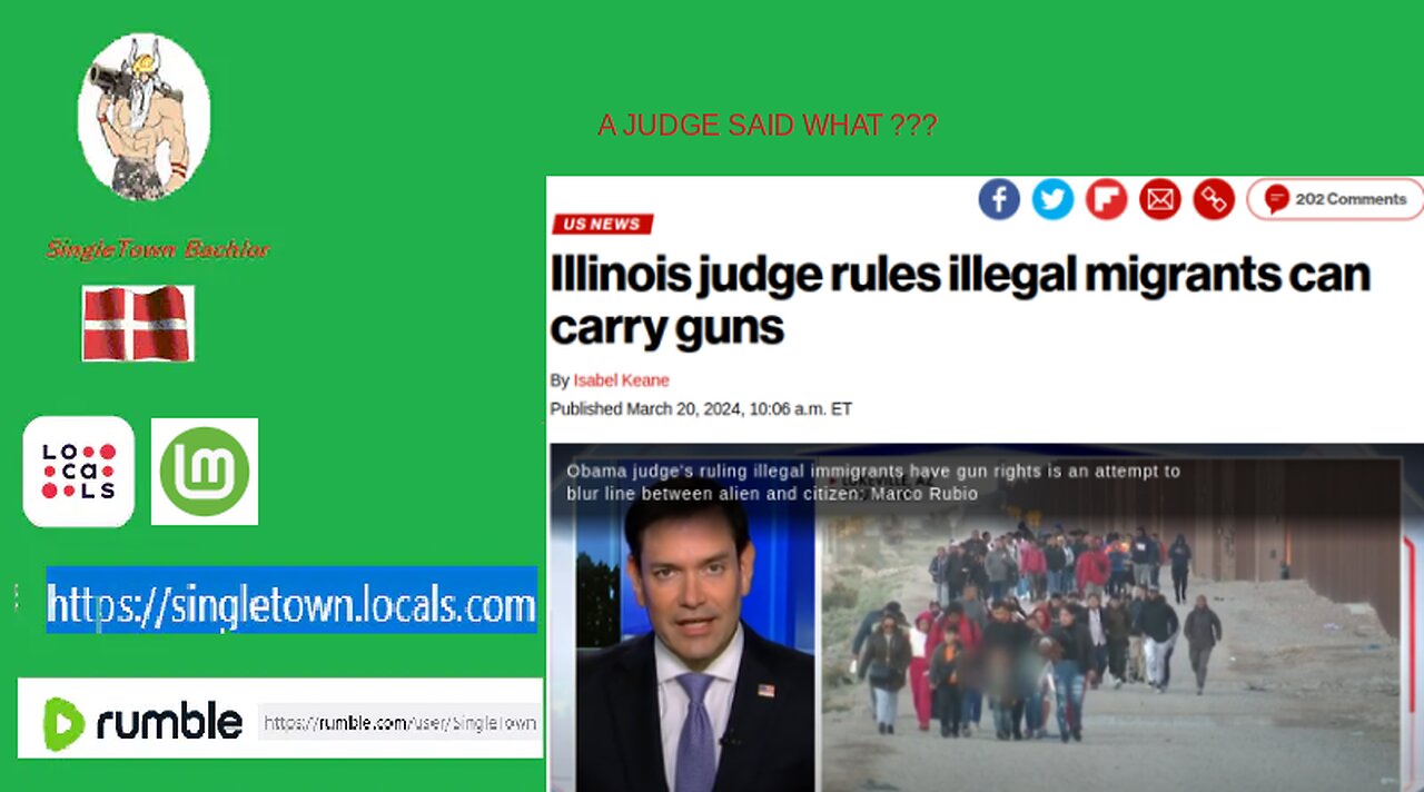 Illinois judge rules illegal migrants can carry guns WHAT THE HELL ???