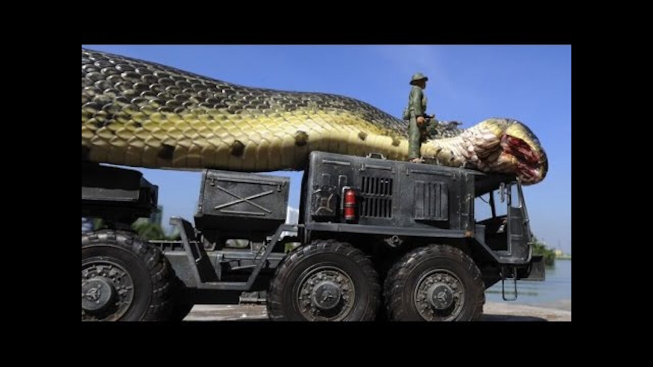 Giant Anaconda World's longest snake found in Amazon River