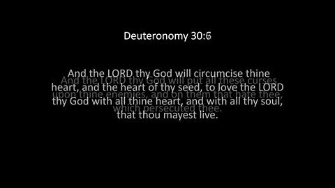 Deuteronomy Chapter 30