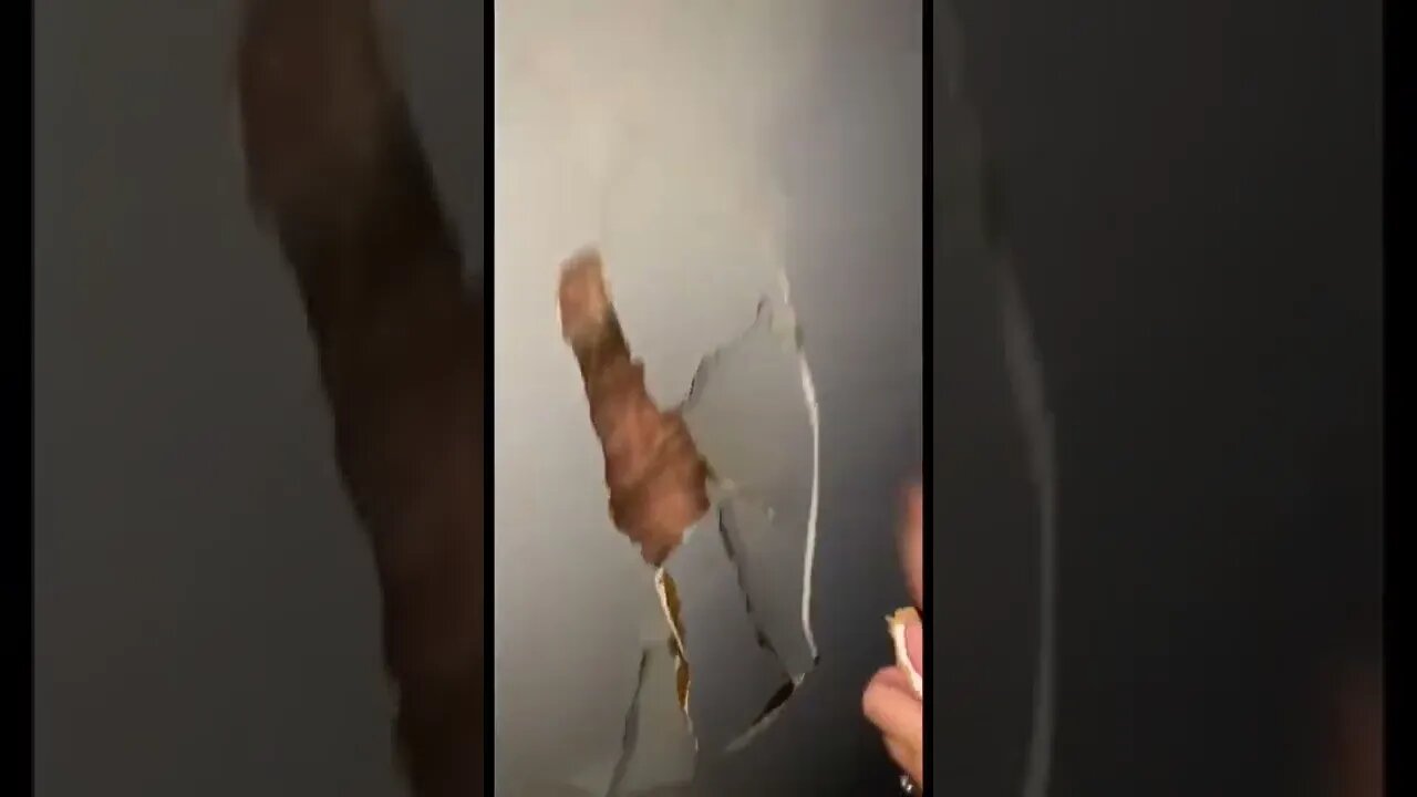 Lady Puts Hole In Wall Getting Spider! Mega Fails #Shorts