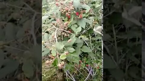 Ayudemos a nuestros campesinos compartir