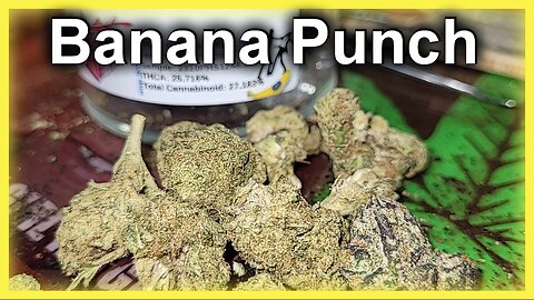 THCA BANANA 🍌 PUNCH 👊 (JK DISTRO)