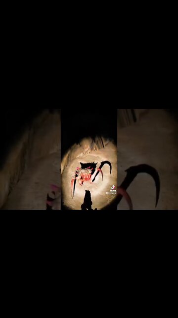 Headcrab Pet or Zombie Bro? Half Life Alyx VR TikTok Gaming Clips 2022 Virtual Reality PC