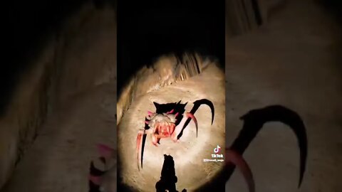 Headcrab Pet or Zombie Bro? Half Life Alyx VR TikTok Gaming Clips 2022 Virtual Reality PC