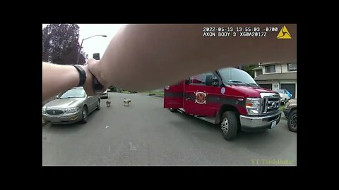 Auburn police shoot dog, and owner claims it wasn’t justified