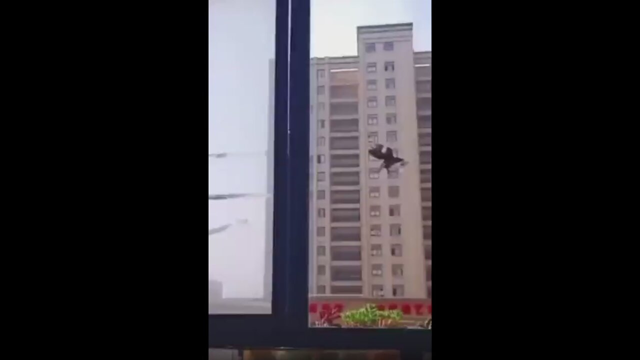 This bird is trained to get money and take it away to its owners