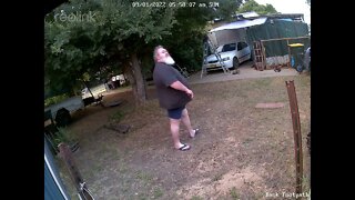 Hairy & Lippy on Ladder