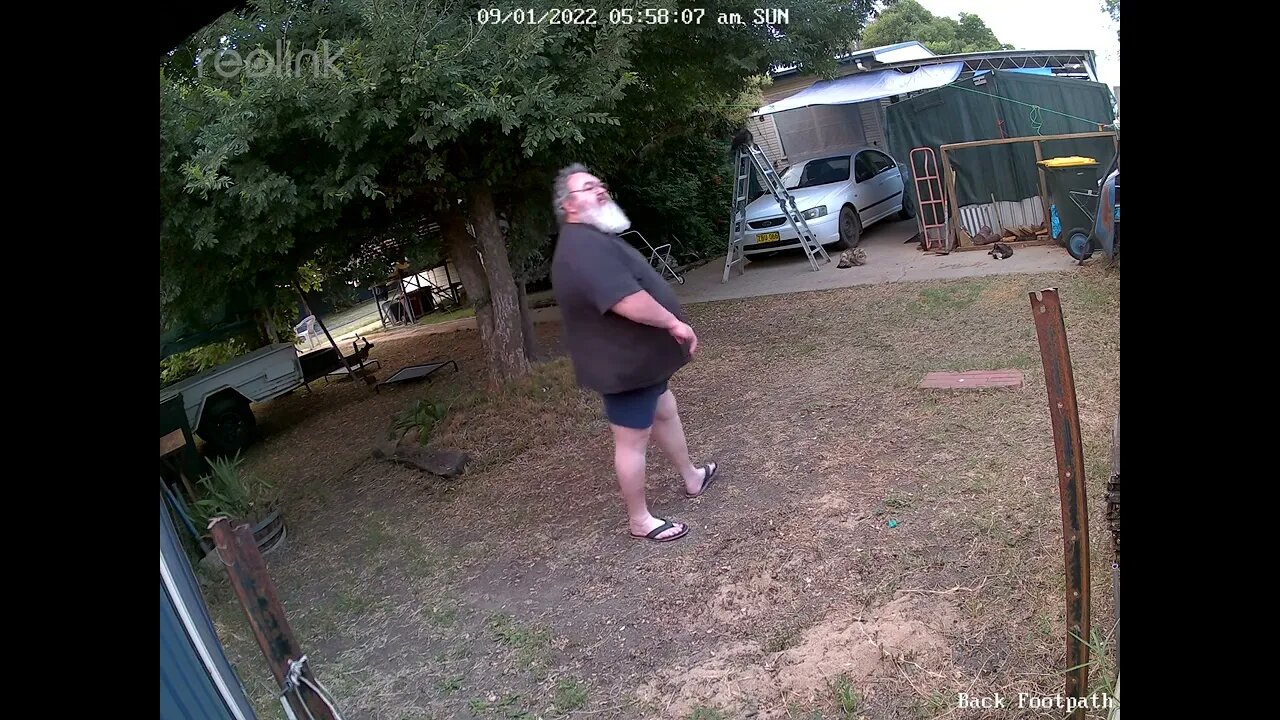 Hairy & Lippy on Ladder