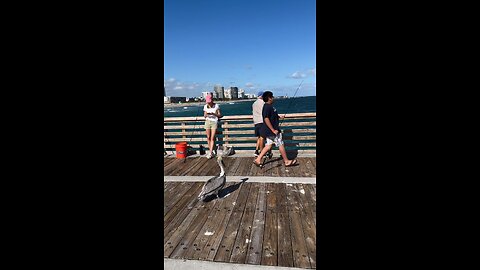 Florida fishing