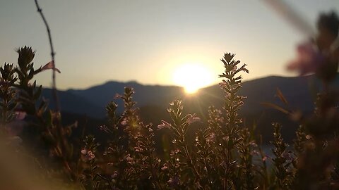 Beautiful Sunrise
