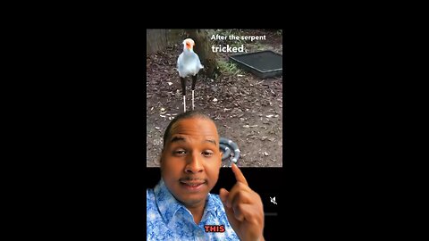 This video gonna make your day 🔥 #viral #short #reel #bible #video #2024