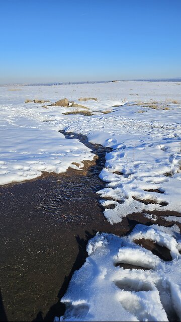 Gentle flowing mountain stream