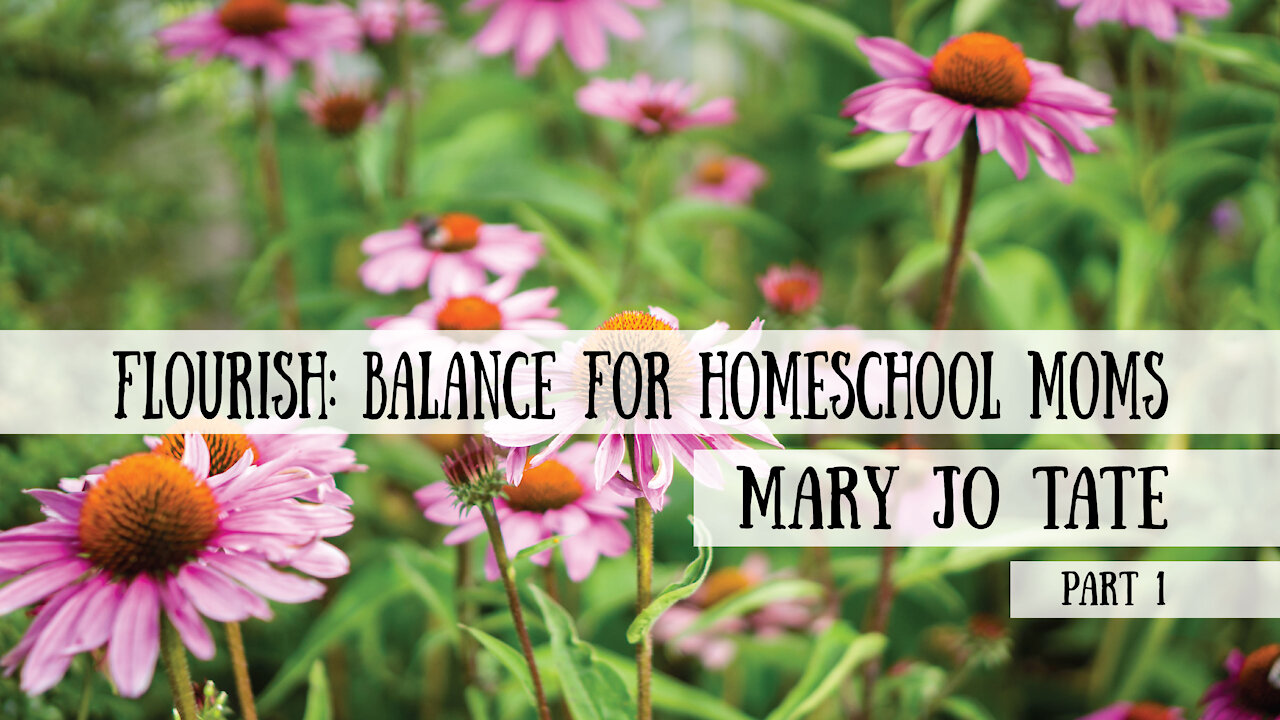 Homeschooling as a Single Parent - Mary Jo Tate, Part 1 (Meet the Cast!)