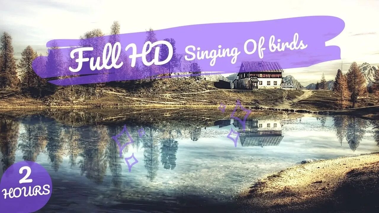 Full HD The Singing Of Birds And The Sound Of The Stream Will Relax And Immerse You In A Deep Sleep