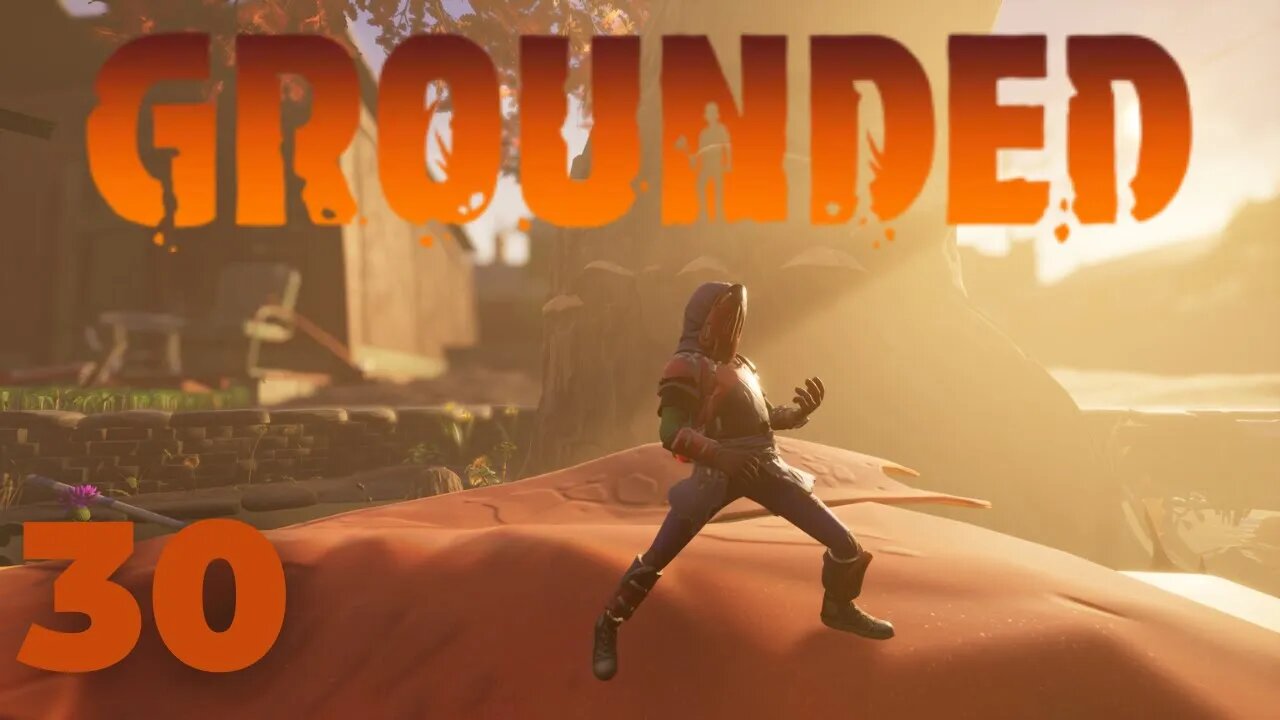 Exploring The Hedge, Completely? - Grounded Into The Wood - 30