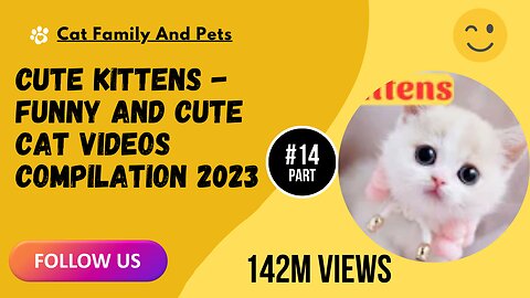 Cute Kittens - Funny and Cute Cat Videos Compilation 2023 Part 14
