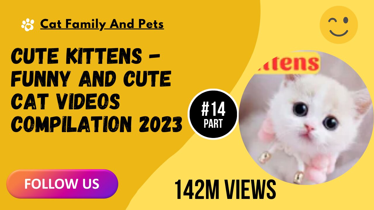 Cute Kittens - Funny and Cute Cat Videos Compilation 2023 Part 14