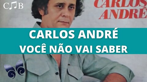 Carlos André - Você Não Vai Saber