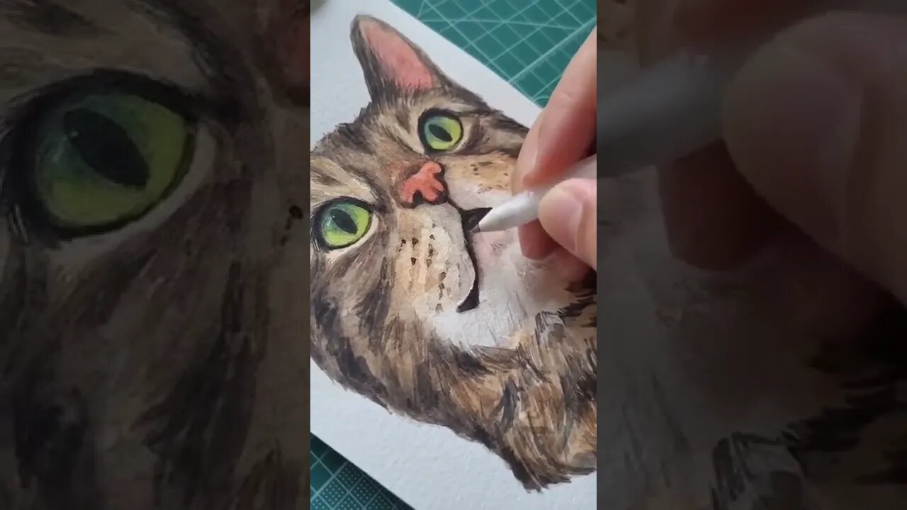 Finished this cat portrait with white highlights