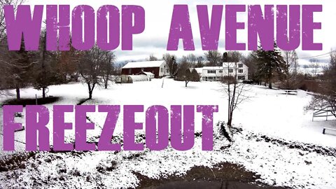 Whoop Avenue Freezeout (GepRc CinePro F7 2")