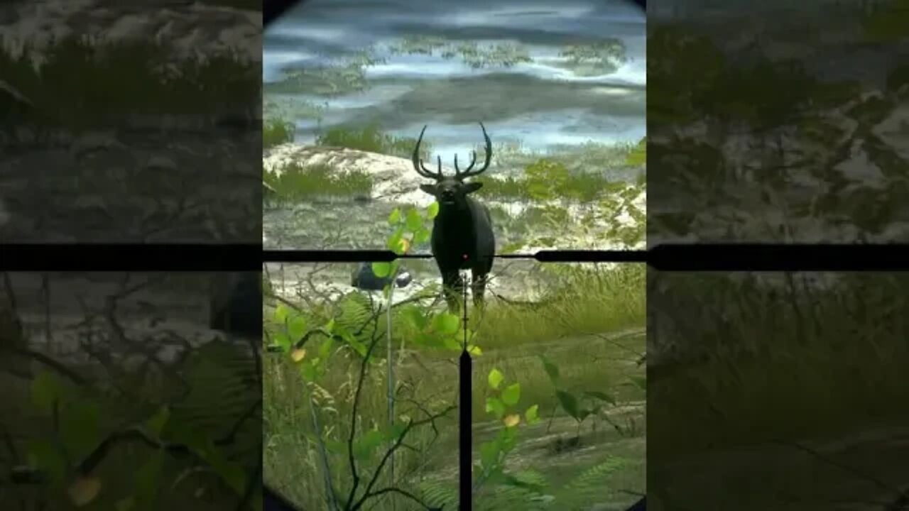 VITAL SHOTS 12 🦌🎯 - Way of the Hunter Animal Reactions #shorts
