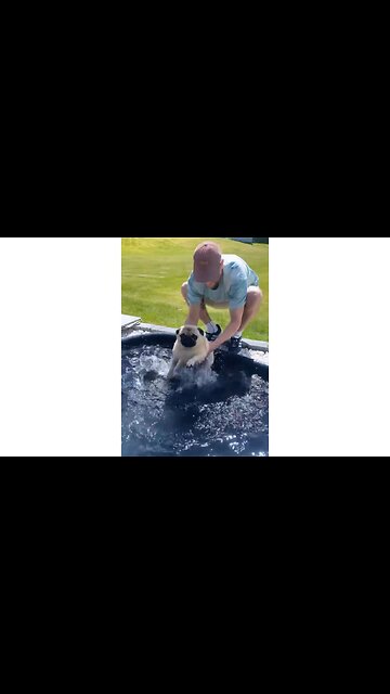 The rain don't deserve to touch the kings head