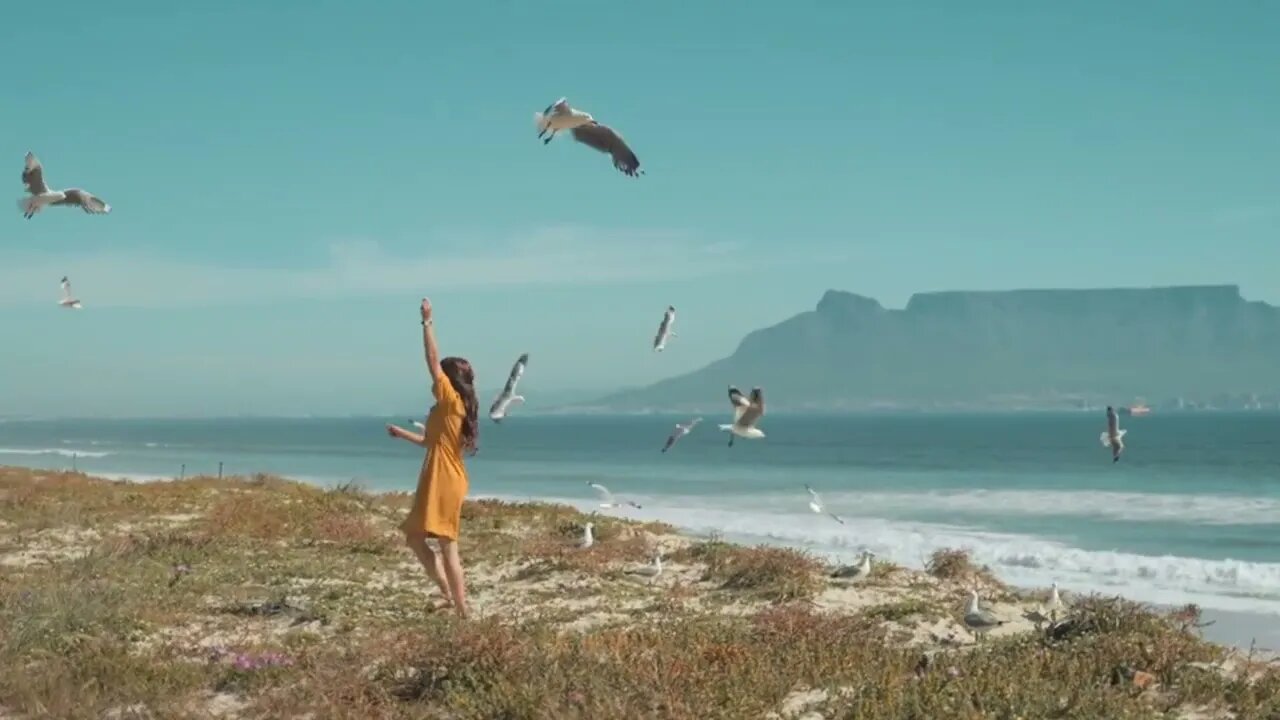 Watch and relax instantly, forget tension, release Stress, 2 minutes happiness