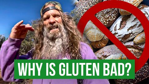 The Real Reason Why is Gluten Bad | Holistic Health Master Explains