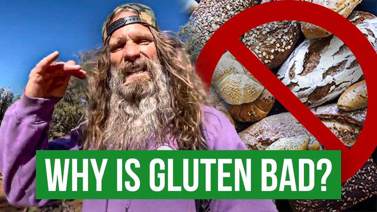 The Real Reason Why is Gluten Bad | Holistic Health Master Explains