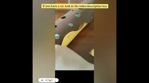 cute cat videos 😹 funny videos 😂75
