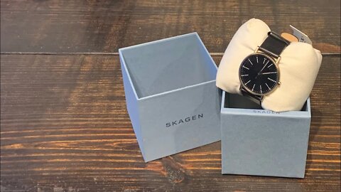Skagen Signatur SKW6401 Watch | AYO! Daeni