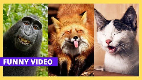 Funniest Cats And Dogs Videos 😁 - Best Funny Animal Videos 2023 😅