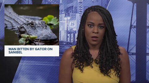 Alligator trapped and removed after report of man being bitten in Sanibel