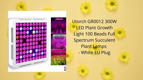 Newly Launched Product