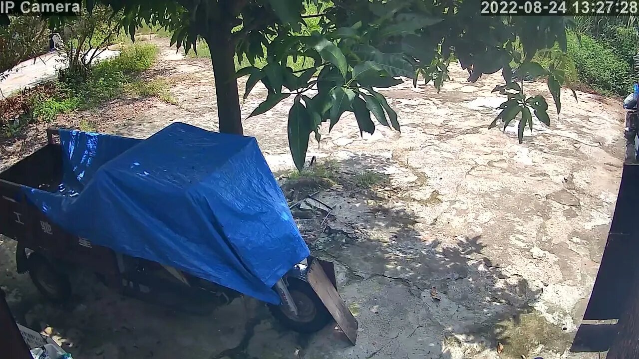 Dia ensolarado, 5 milhões de imagens de vigilância