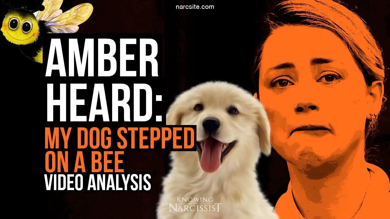 Amber Heard - My Dog Stepped On A Bee : Video Analysis