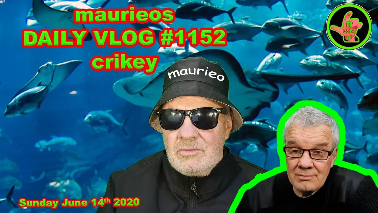 maurieos DAILY VLOG #1152 crikey