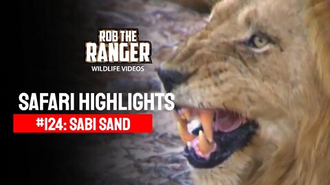 Safari Highlights #124: 10 - 14 November 2011 | Sabi Sand Nature Reserve | Latest Wildlife Sightings