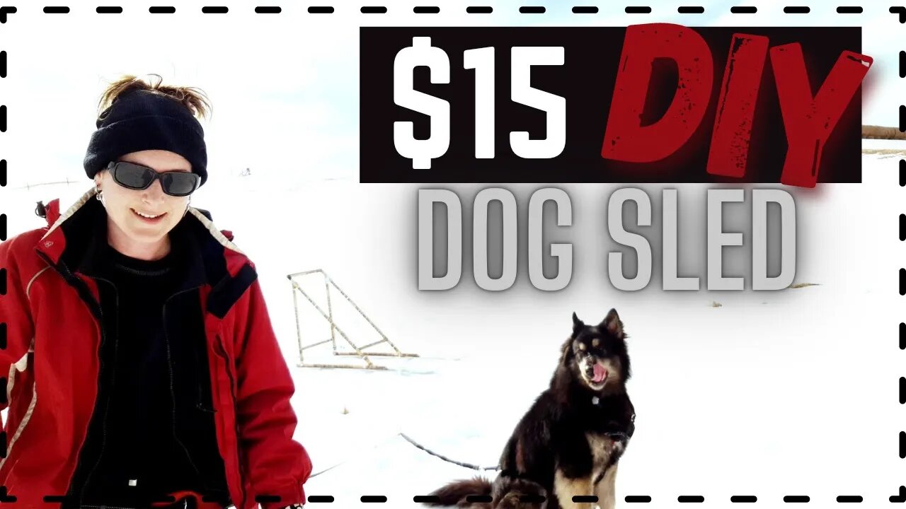 Build a Dog Sled for $15 | If your dog pulls, you need to see this!