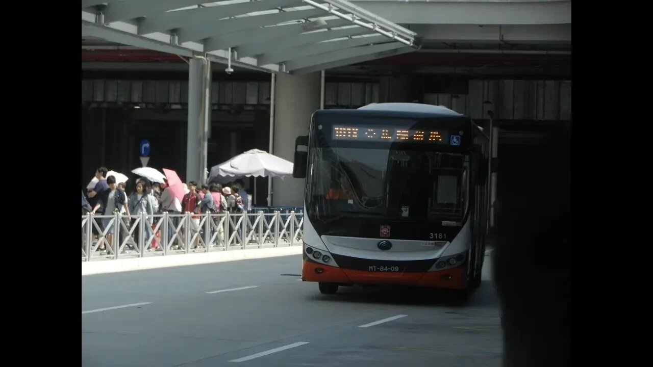 [全澳唯一24小時]澳巴3181行走101X往亞馬喇前地行車片段