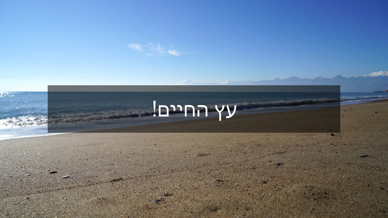 עץ החיים