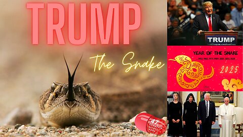 The 2025 US President | Donald Trump, The Snake, Joe Biden & The Pope