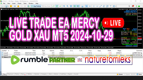 LIVE TRADE EA MERCY GOLD XAU MT5 2024-10-29