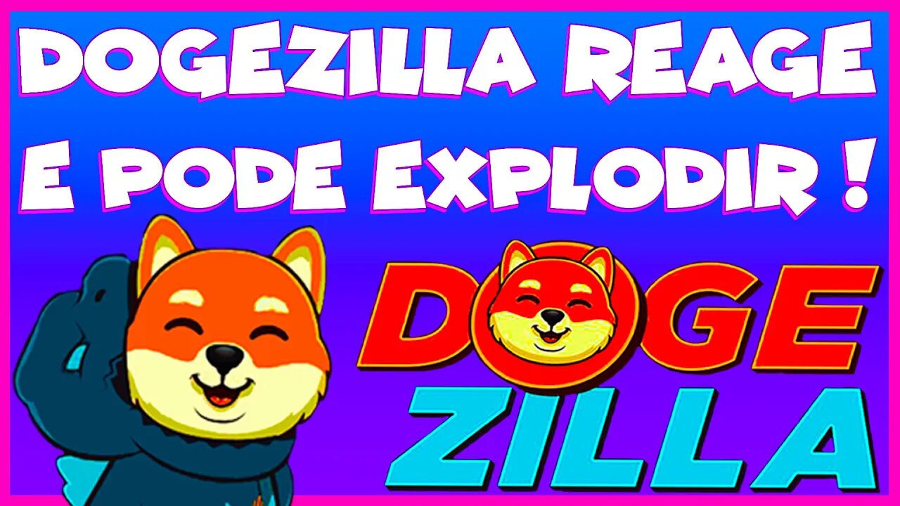 DOGEZILLA REAGE E PODE EXPLODIR