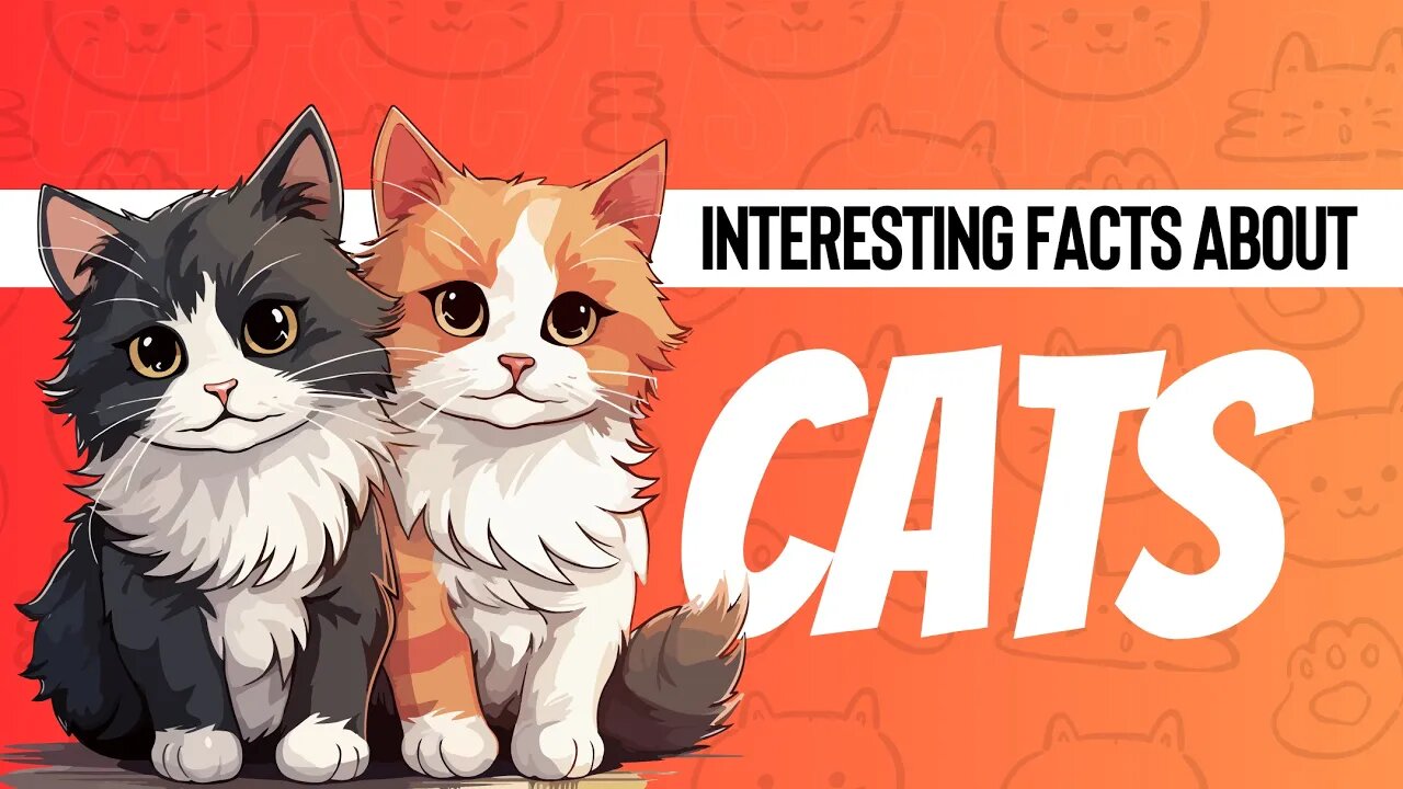 Interesting Facts About Cats | Cats Facts for Kids | Cats Facts