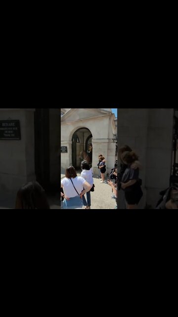 Horse turns around #horseguardsparade
