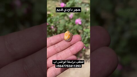حجر داودي قديم