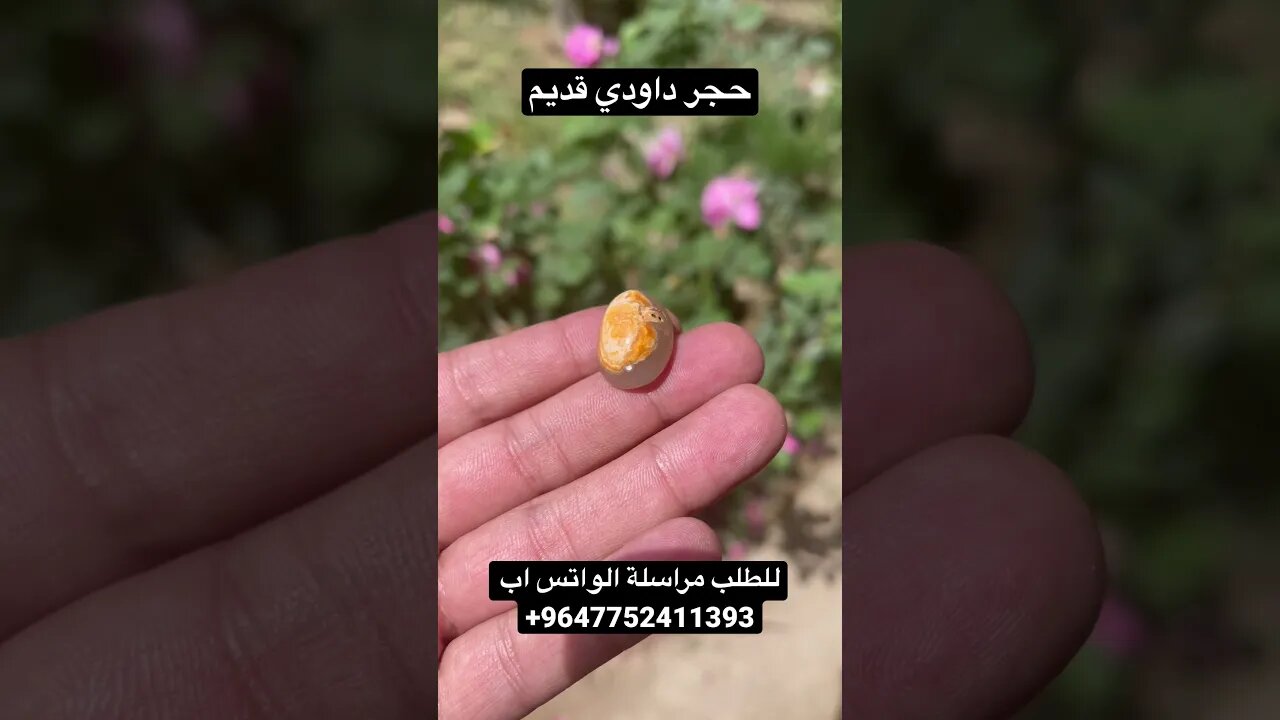 حجر داودي قديم