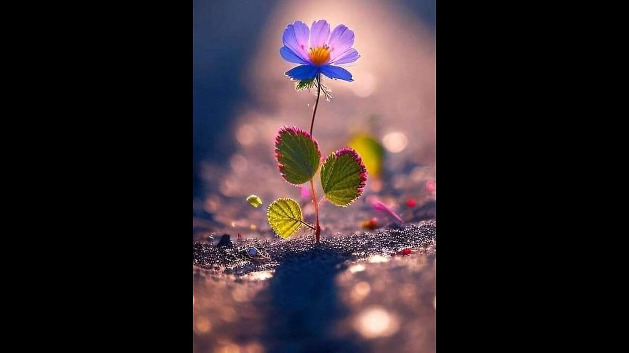 #Natural #beauty #Amazing #beautiful place