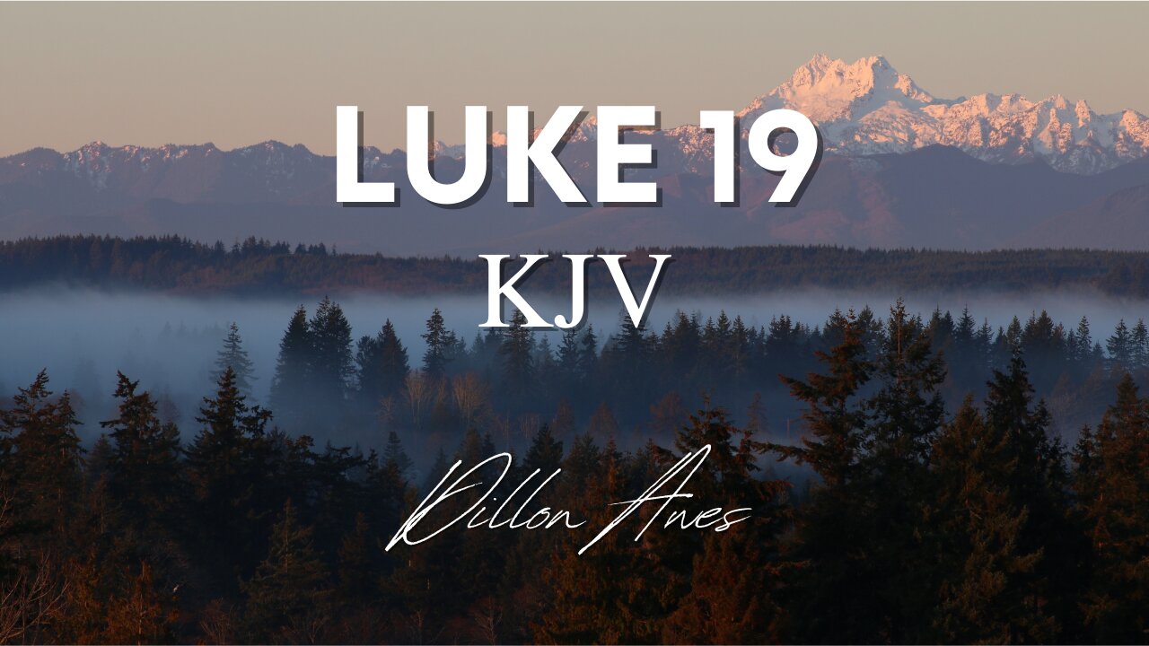 Luke 19 - King James Audio Bible Read By Dillon Awes